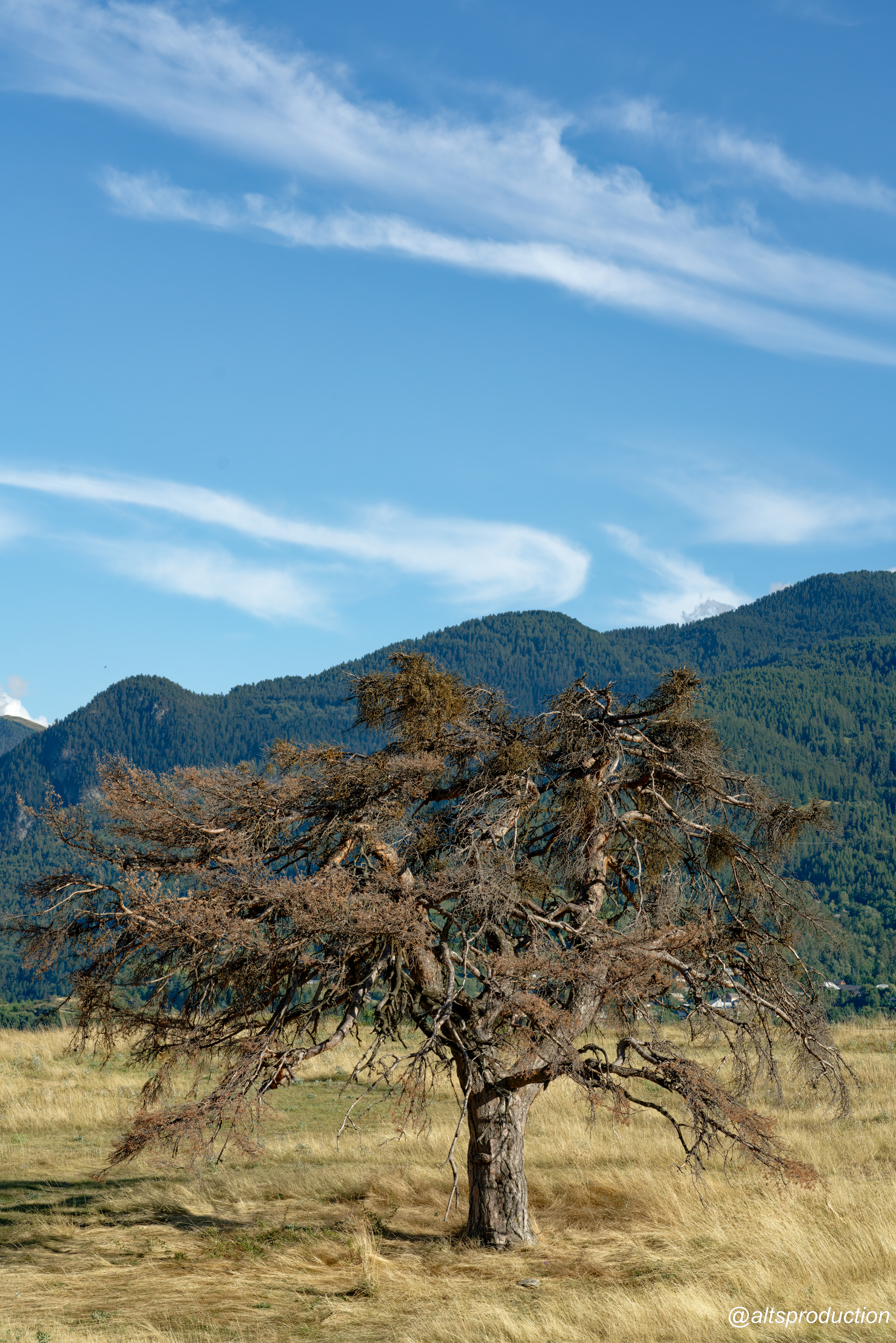 photo slider